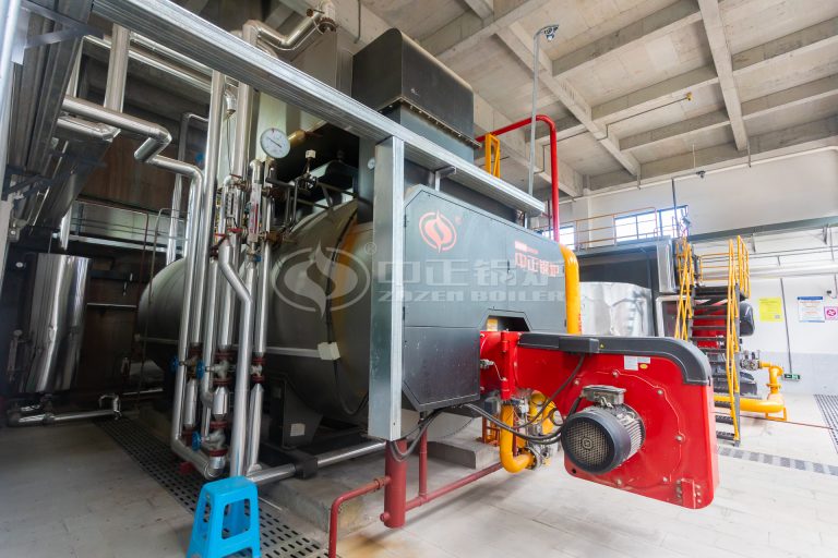 ZOZEN 5 Tph Steam Boiler
