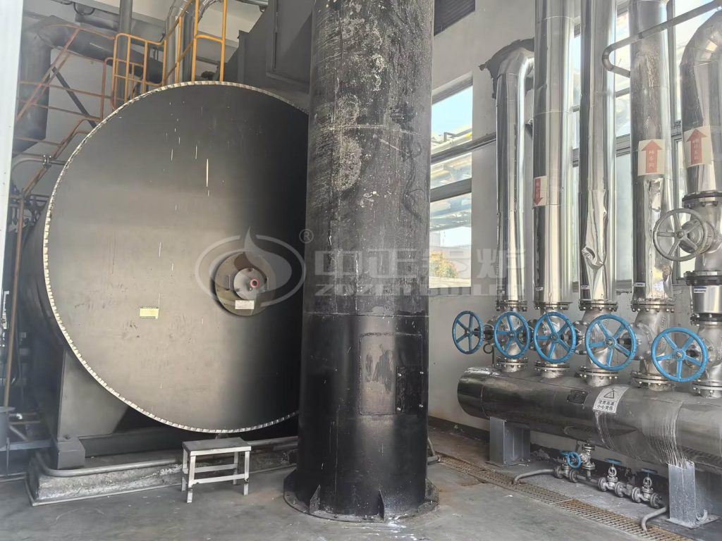ZOZEN 6 Tph Boiler