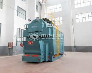 DZL series Coal Fired Boilers For Sale