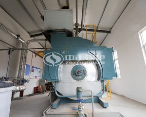 Gas-Fired Steam Boiler In Bangladesh