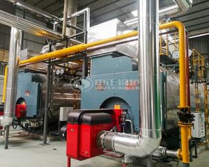 Working Principle Of Gas Fired Steam Boilers