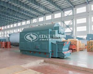 Horizontal Biomass Steam Boiler for Sale