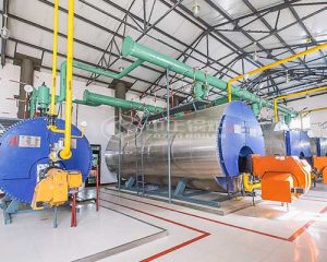 High Efficiency Gas Steam Boilers for Sale