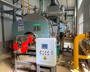 Oil Fired Package Boiler Supplier