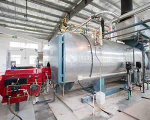 WNS Wet Back Boiler for Sale