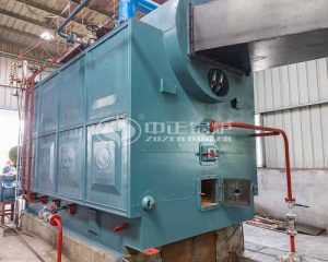 DZL Coal Fired Steam Boiler Manufacturer