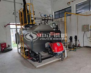 Fast Assembly Industrial Gas-Fired Boilers Cost