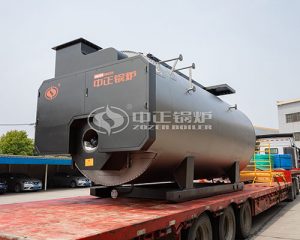 LPG Fired Steam Boilers For Sale
