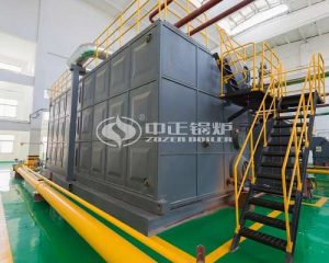 Low Nitrogen SZS Hot Water Boiler Price