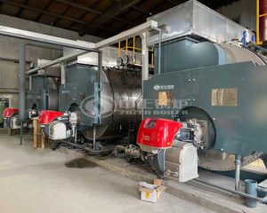 6 Ton Oil Gas Boiler Model Parameters