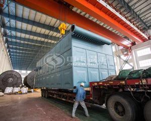 Biomass Thermal Oil Boiler Supplier