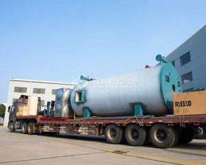 Oil Gas Fired Thermal Oil Heater