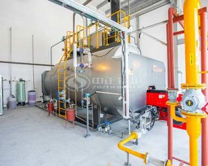 ZOZEN 4th fuel gas boiler