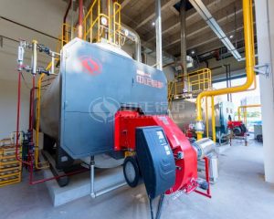 8 ton Gas Steam Boiler in Packing Industry