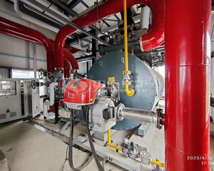 Industrial Application of Thermal Oil Heaters