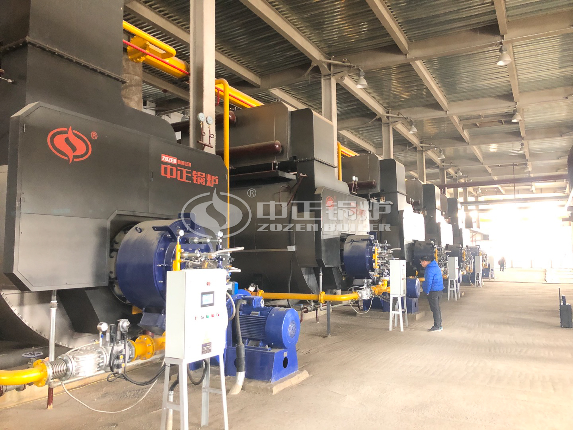 Gas-fired Hot Water Boilers in South Africa