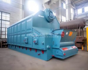 6 ton Biomass Steam Boiler for Foam Material Factory in Vietnam