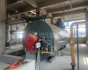 3 Million Kcal Gas Fired Thermal Oil Heater for Chemical Industry