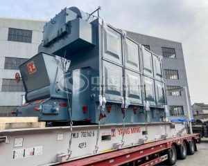 4 TPH Coal Fired Steam Boiler for Pet Food Industry in Cambodia