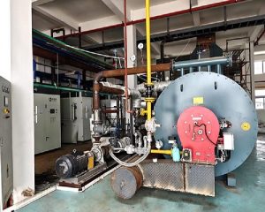 1.6 Million Kcal Gas Thermal Oil Heater for Chemical Industry