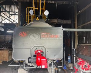 2 Ton Oil Steam Boiler for Textile Industry in Eswatini
