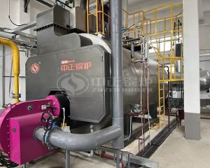 ZOZEN 5 Tph Hydrogen Steam Boiler for Chemical Industry