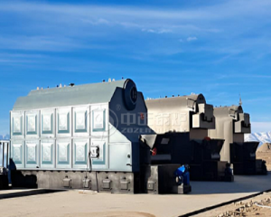4 Tph and 4.2MW Reciproating Grate Coal Boilers for Poultry Farm in Kyrgyzstan