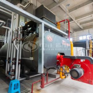ZOZEN 5 Tph Steam Boiler