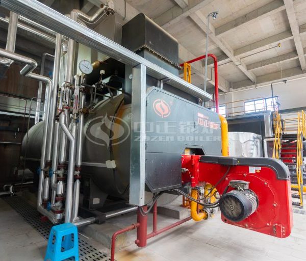 ZOZEN 5 Tph Steam Boiler