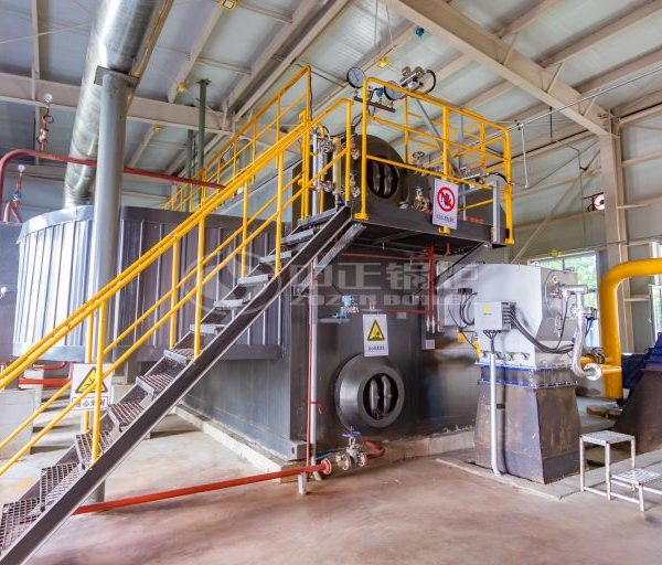ZOZEN 25 TPH Water Tube Gas Steam Boiler